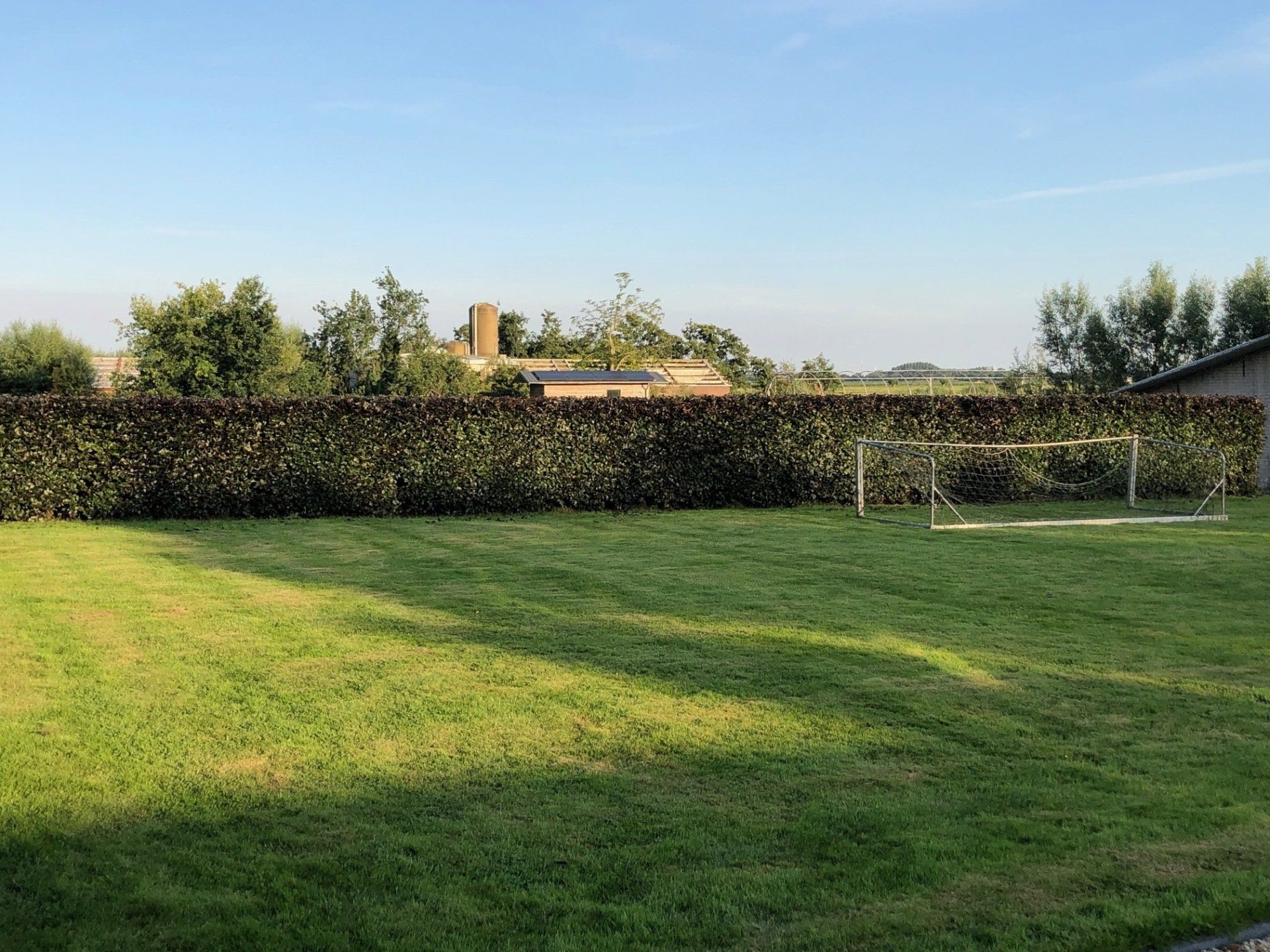 Een grasveld met een voetbaldoel in de zon, een heg op de achtergrond en een gebouw aan de horizon.