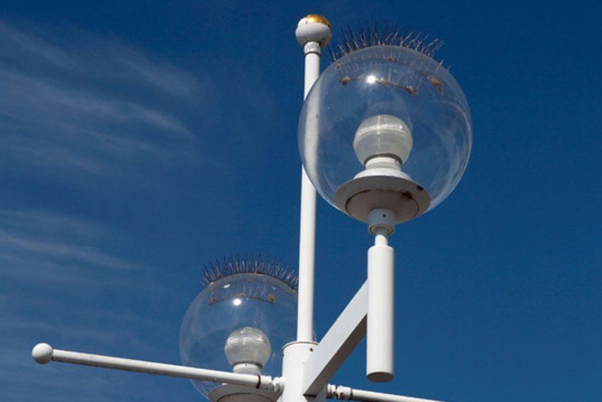 Street lights with spikes
