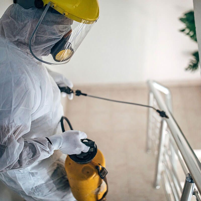 Worker disinfecting an industrial kitchen freezer
