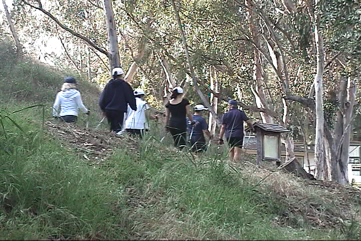 A group of people are walking down a hill in the woods.