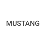 picture of the words Mustang indicating that Charleston Dent Company works on Mustang model vehicles