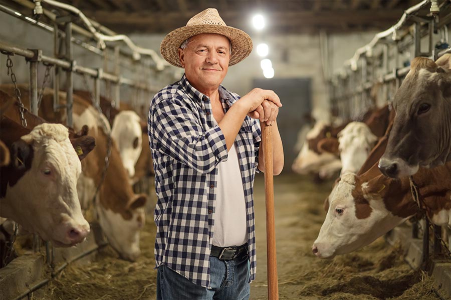Farmer — Stockfeed And Rural Supplies in Mount Larcom, QLD