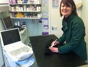 Vet surgery - Newtownards, County Down - Balloo Vets - Vet surgery