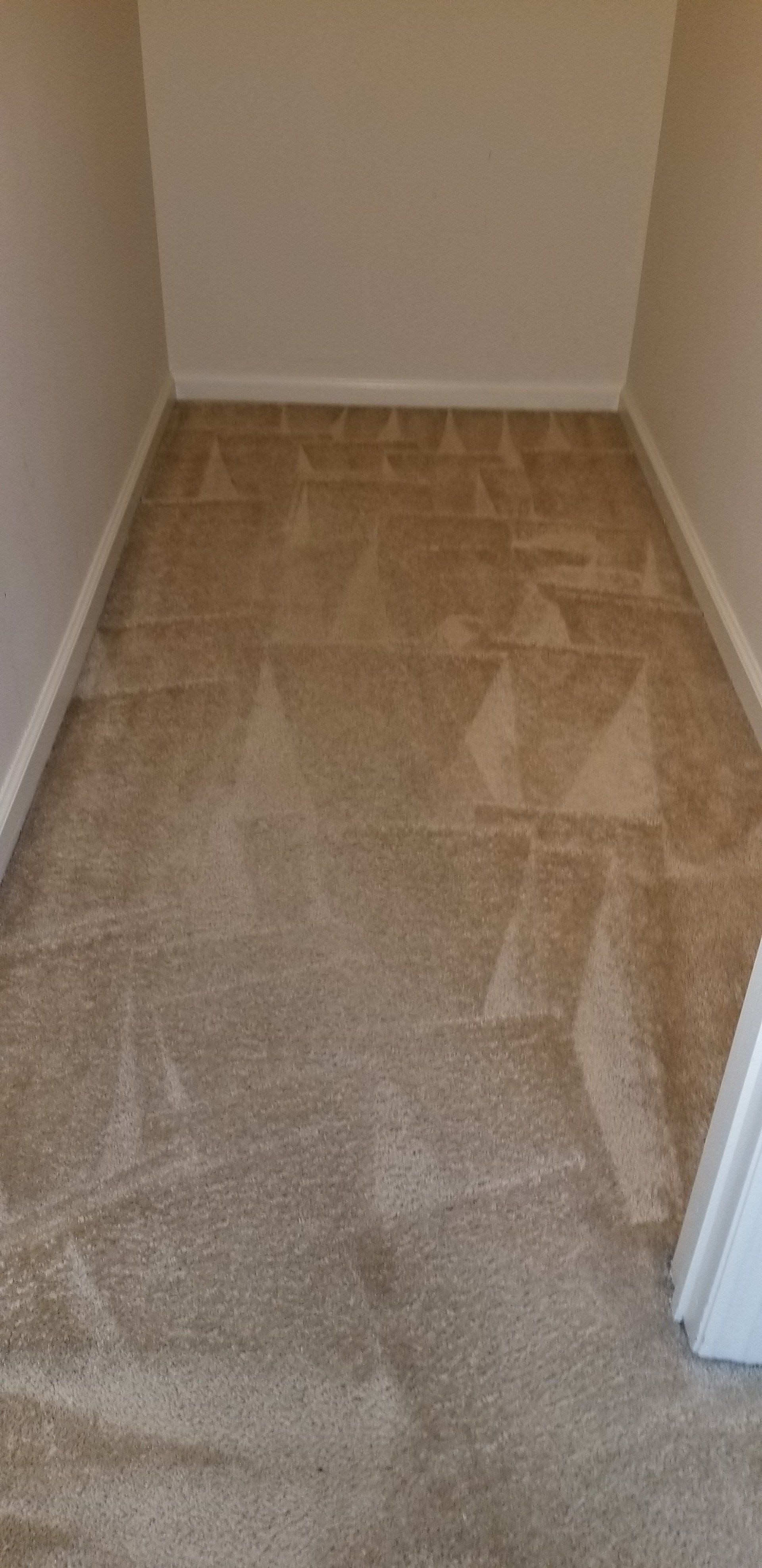 A small, narrow carpeted closet with beige wall-to-wall carpeting and white baseboards.