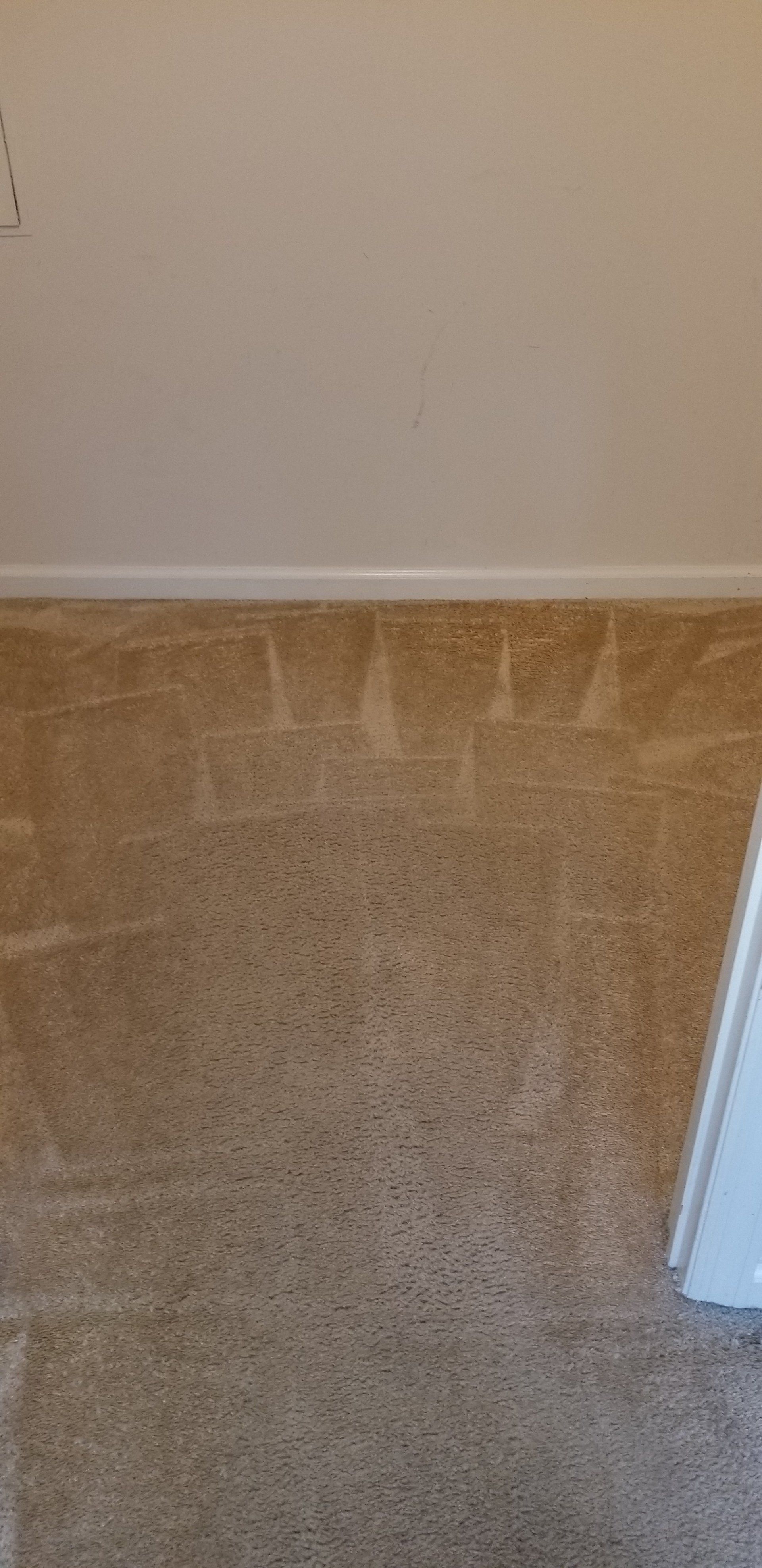 Carpeted floor with visible vacuum tracks, beige walls, and a white baseboard in a residential room.