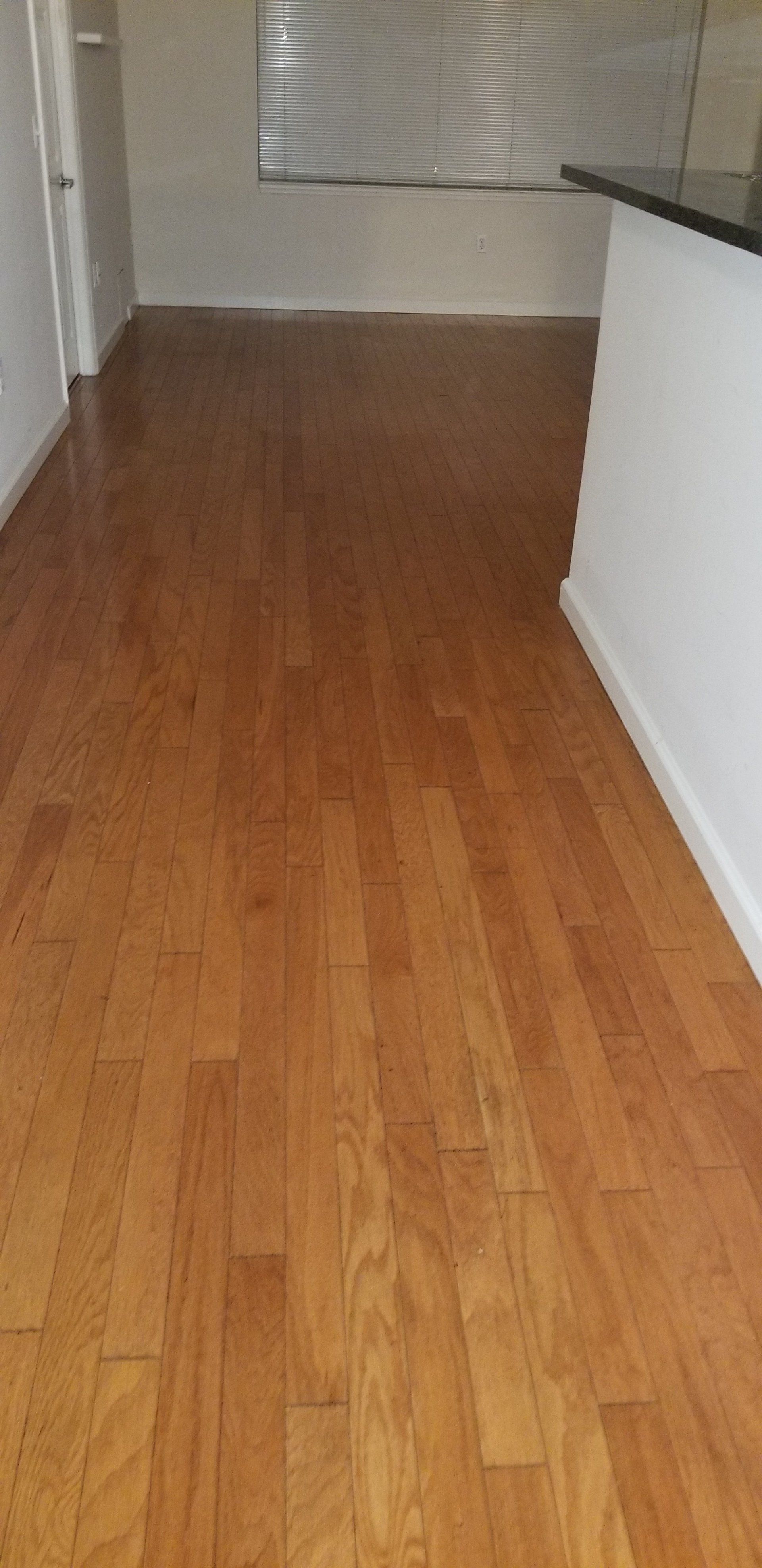A hallway with light brown wood plank flooring, white walls, and a window with closed blinds at the end.