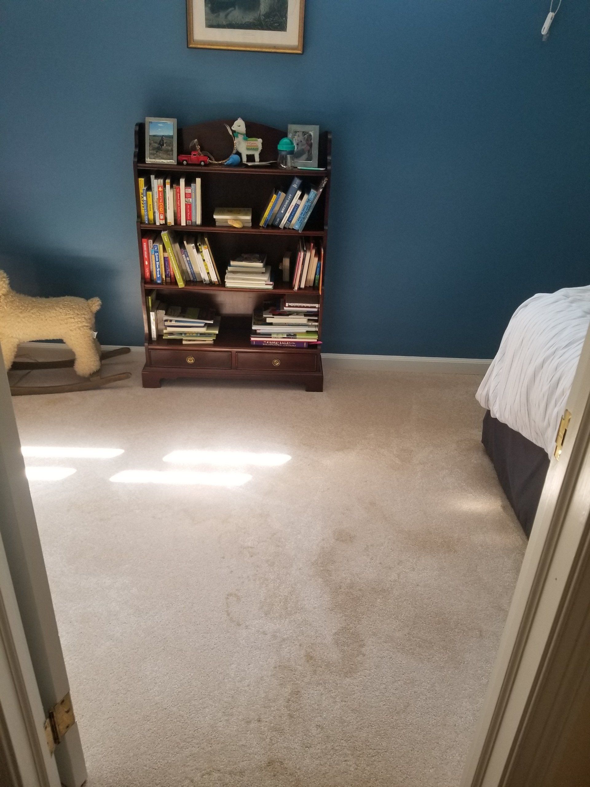A wooden bookcase with books and trinkets stands against a blue wall in a room with beige carpet and a partial bed view.