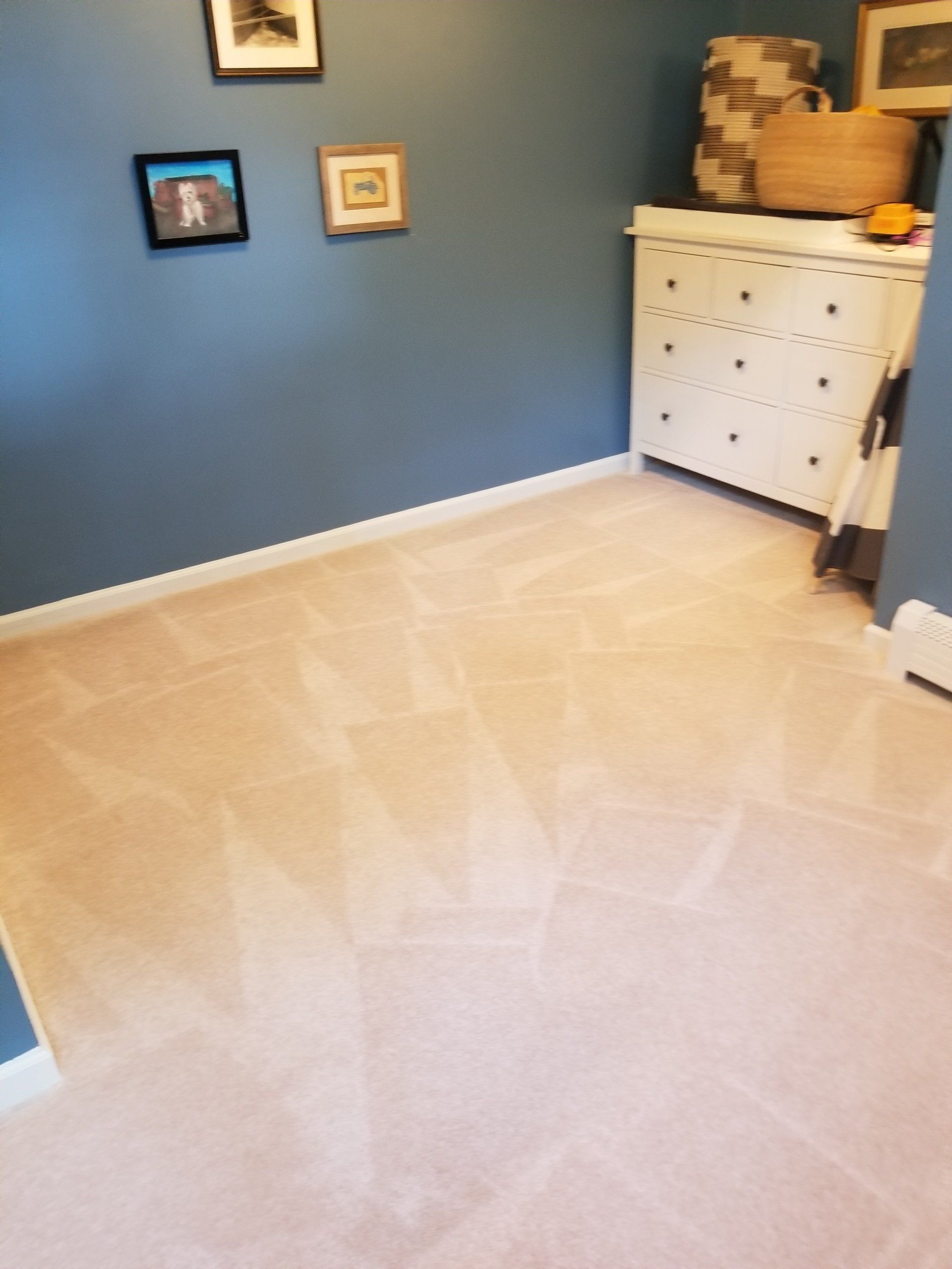 A freshly vacuumed light-colored carpet in a room with blue walls, framed art, and a white dresser with baskets.