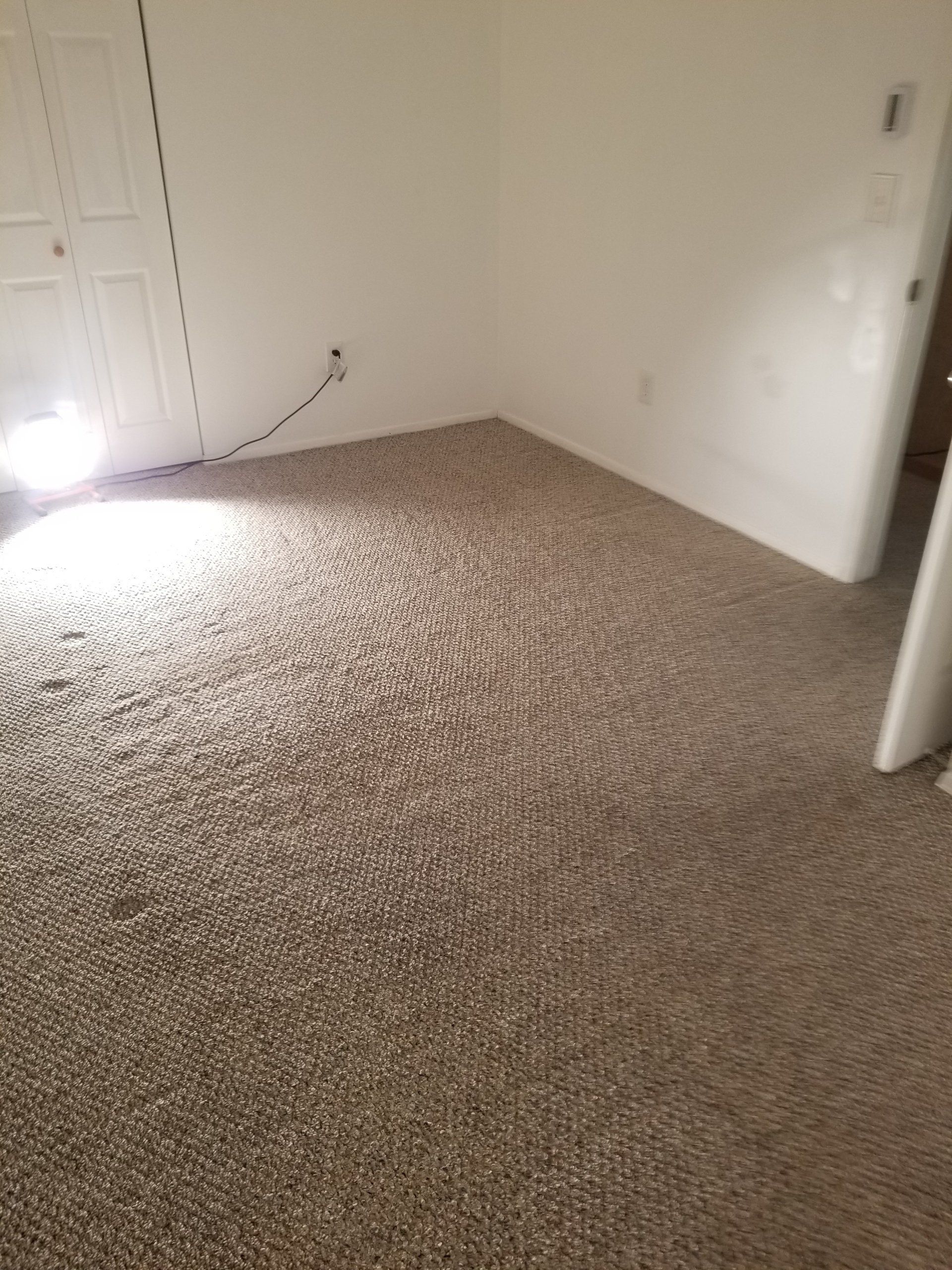 A corner of a room with beige carpet, white walls, a closed closet door, and a bright light source on the floor.