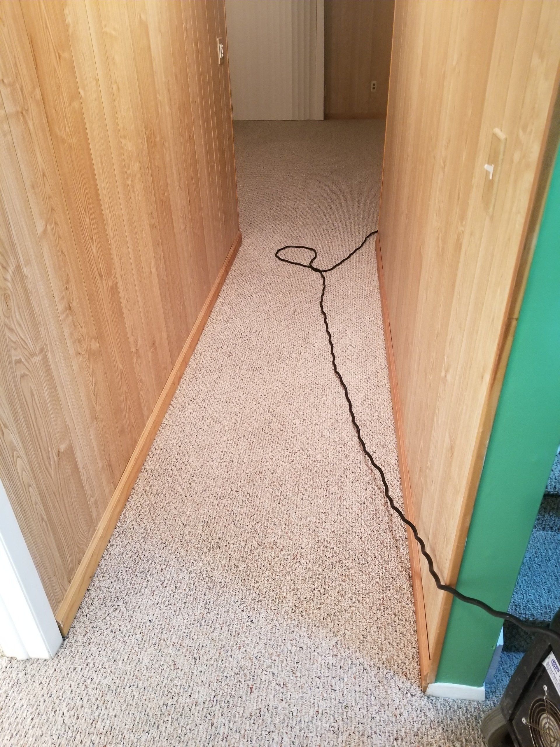 A narrow hallway with light wood-paneled walls and speckled beige carpet, featuring an electrical cord laying on the floor.
