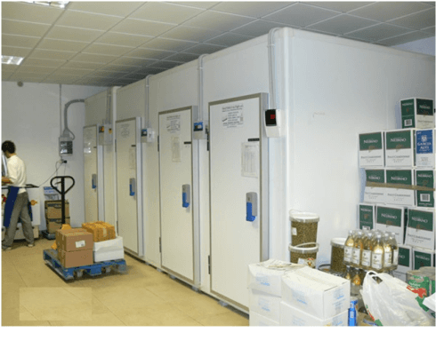 Manutenzione Banco frigo
