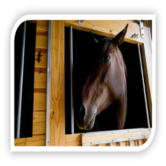 Stable door