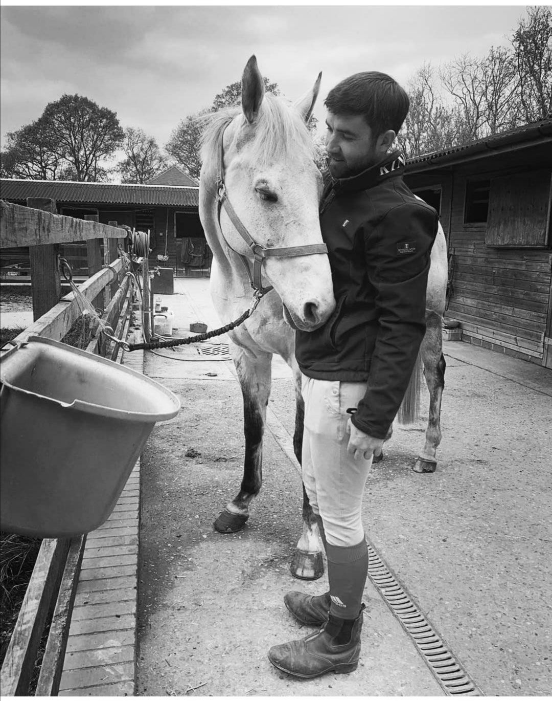 Horse with owner