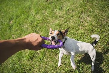 image-72252-02D22872.jpg?1410464811485