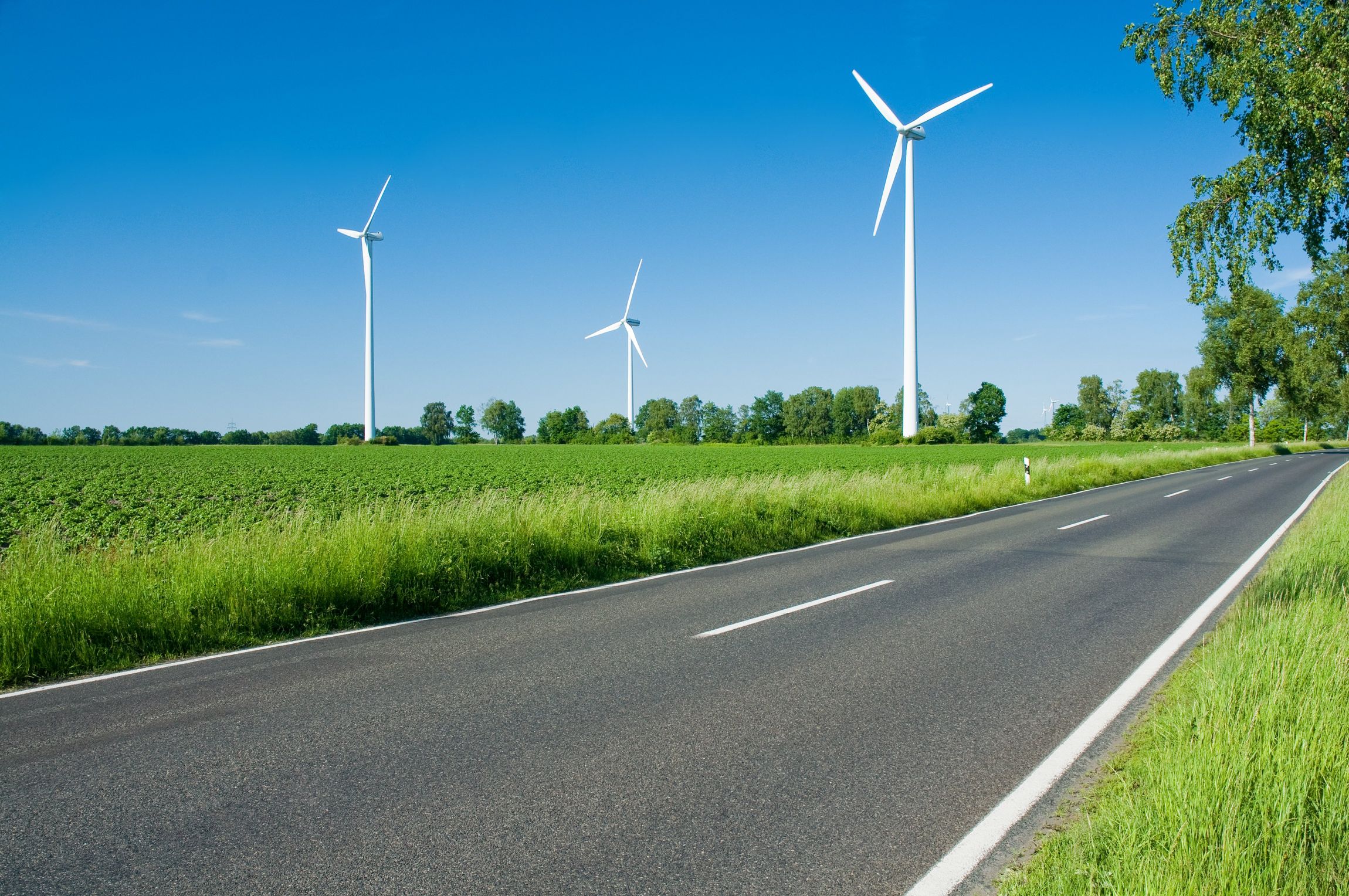 Blick am Straßenrand mit Windturbinen auf einem Feld mit grünen Feldfrüchten unter einem klaren blauen Himmel.