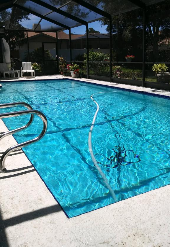 Backyard swimming pool with blue water, pool vacuum hose, and screened patio enclosure