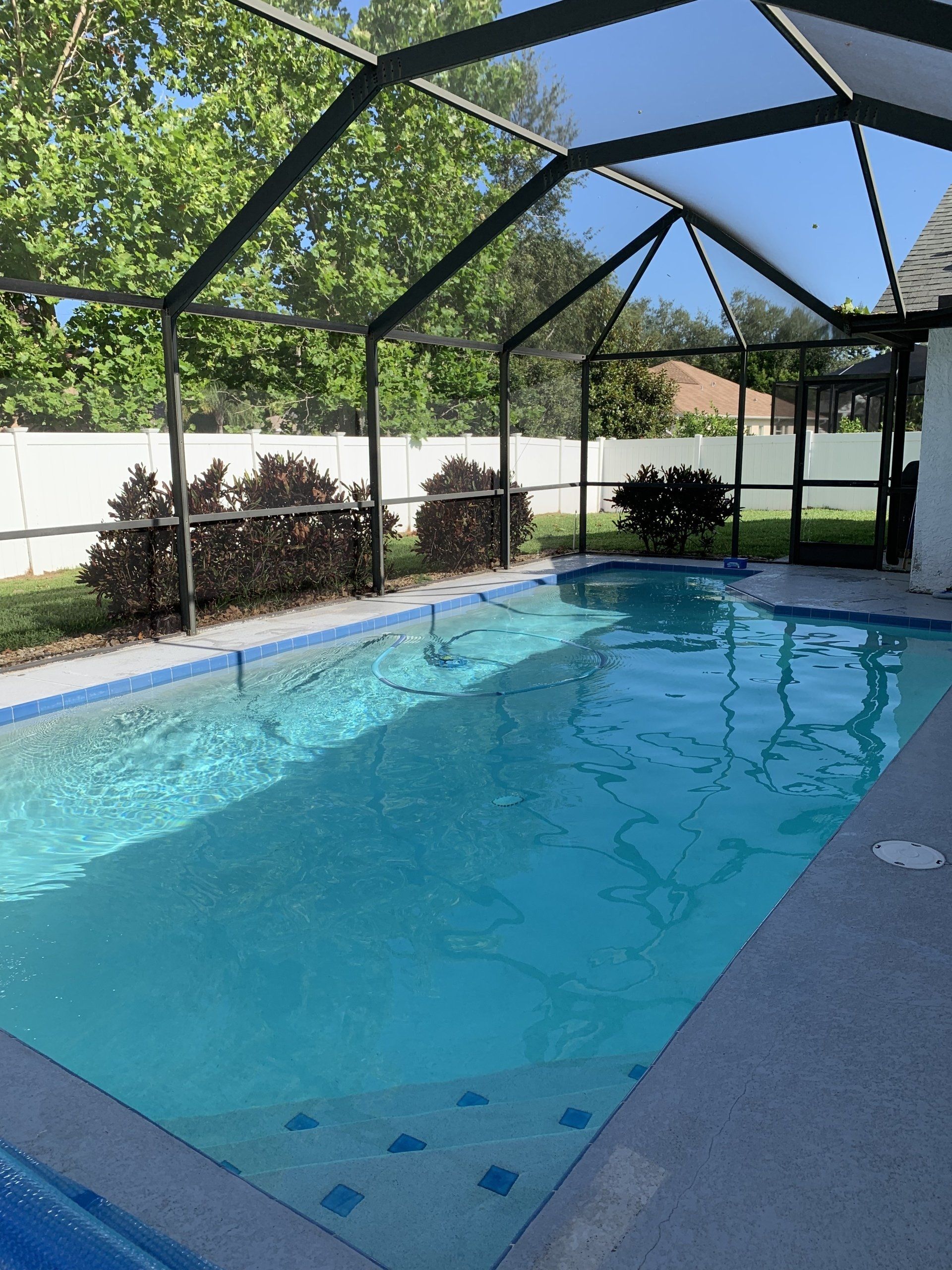 Covered backyard swimming pool with blue water, screened enclosure, and trees outside