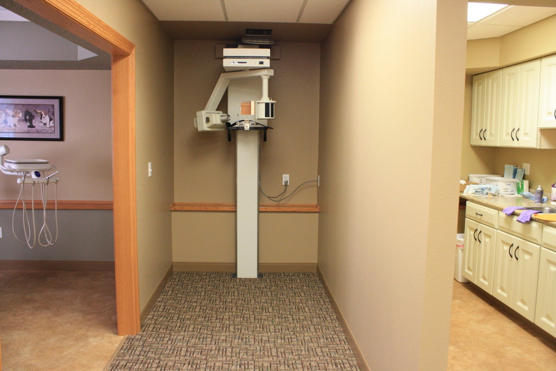 Commercial Transformations After