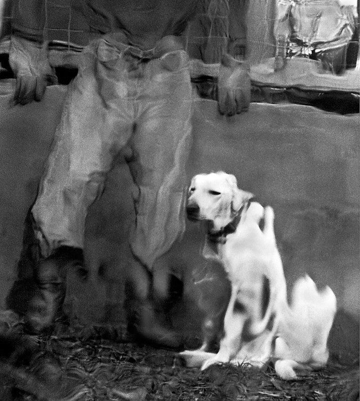 a composite image of a man and his dog, taken in a reflective surface.
