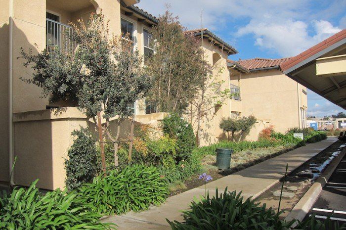 seabreeze apartments exterior