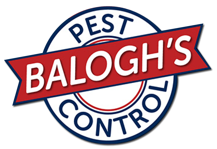Balogh's Pest Control Balogh's Pest Control