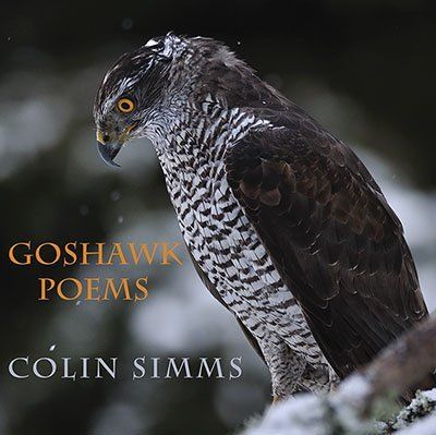Colin Simms Goshawk Poems