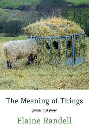 Elaine Randell The Meaning of Things