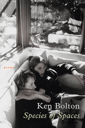 Ken Bolton Species of Spaces