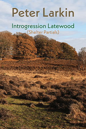 Peter Larkin Introgression Latewood