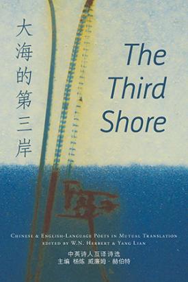 The cover of a book titled the third shore