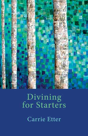 Carrie Etter Divining for Starters