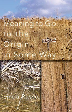 Linda Russo Meaning to Go to the Origin in Some Way
