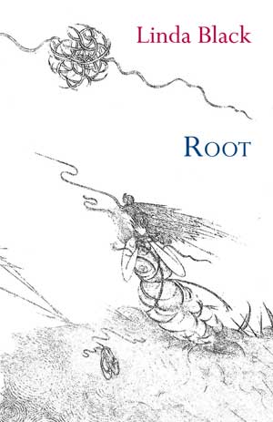 Linda Black Root