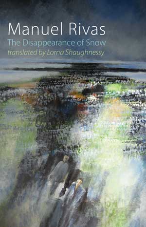 Manuel Rivas The Disappearance of Snow