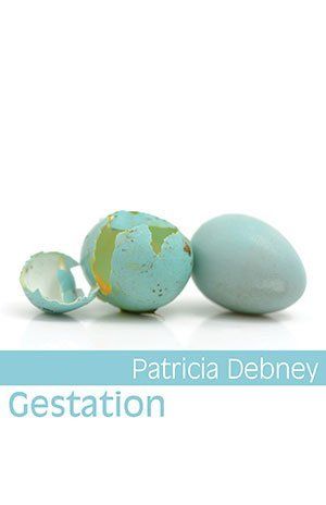 Patricia Debney Gestation