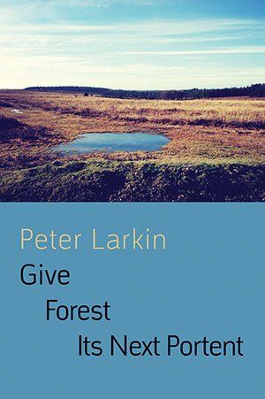Peter Larkin Give Forest Its next Portent