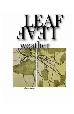 Shira Dentz Leaf Weather