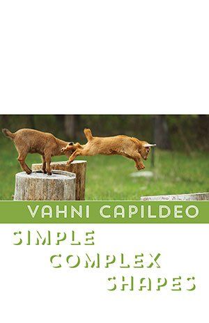 Vahni Capildeo Simple Complex Shapes