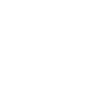 choose your dog