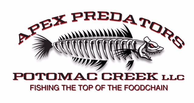 fishing guide service