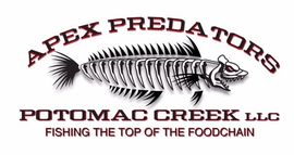 fishing guide service