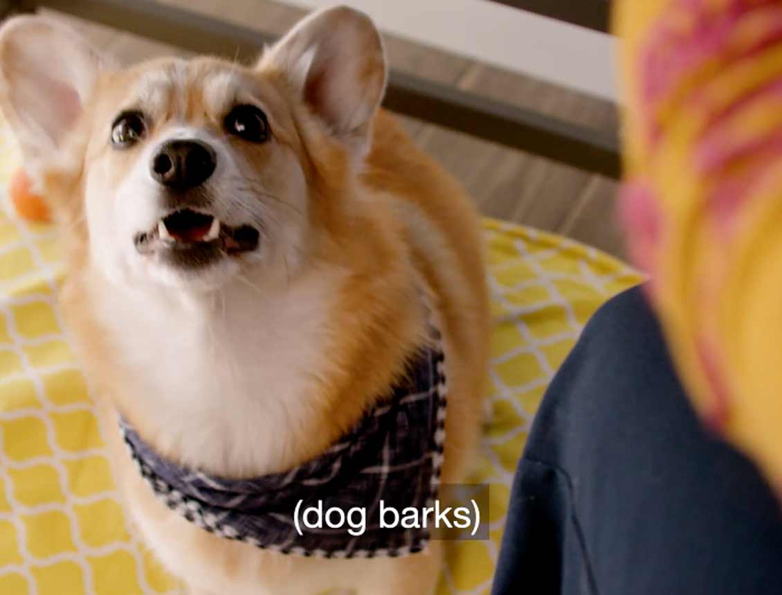 A dog wearing a bandana is sitting on a bed next to a person.