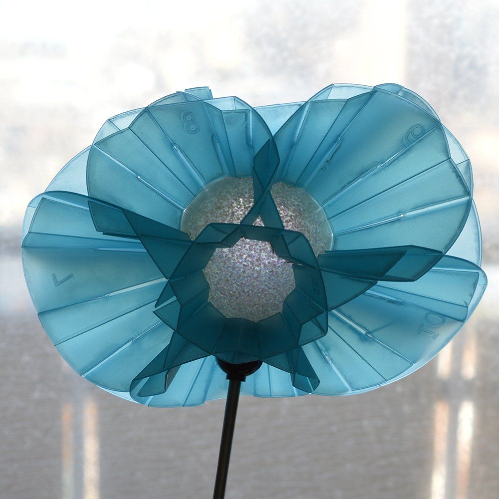 Sophia Construct as the Blue Brighton Flower.