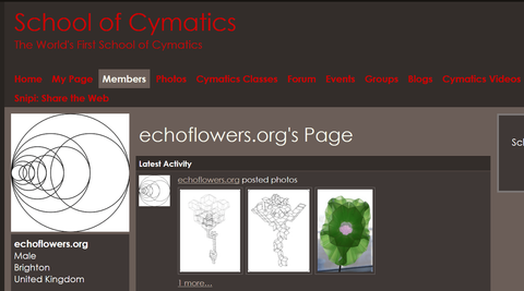 Shool of Cymatics. web site Shool of Cymatics. web site