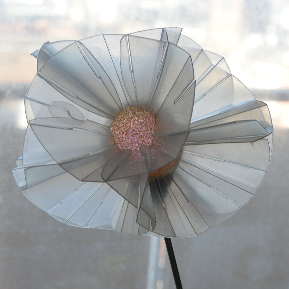 Sophia Construct as the Transparent Brighton Flower.
