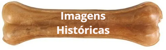 Agenda de Atualizações