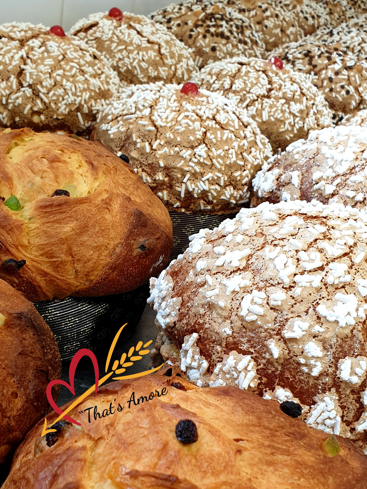 panettoni