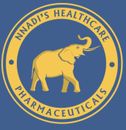 nnadi logo