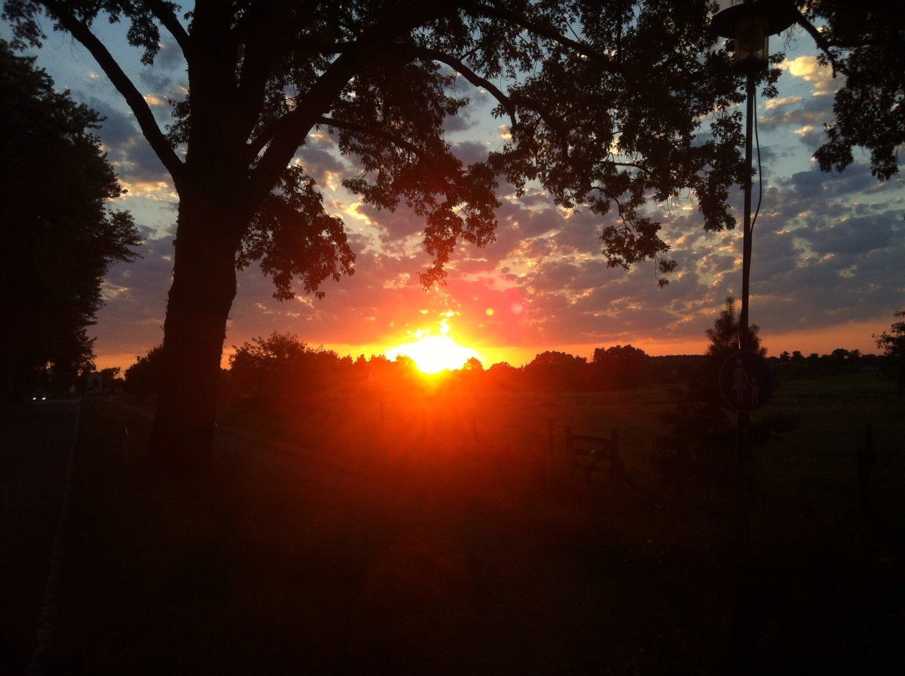 Ein Sonnenuntergang mit einem Baum im Vordergrund