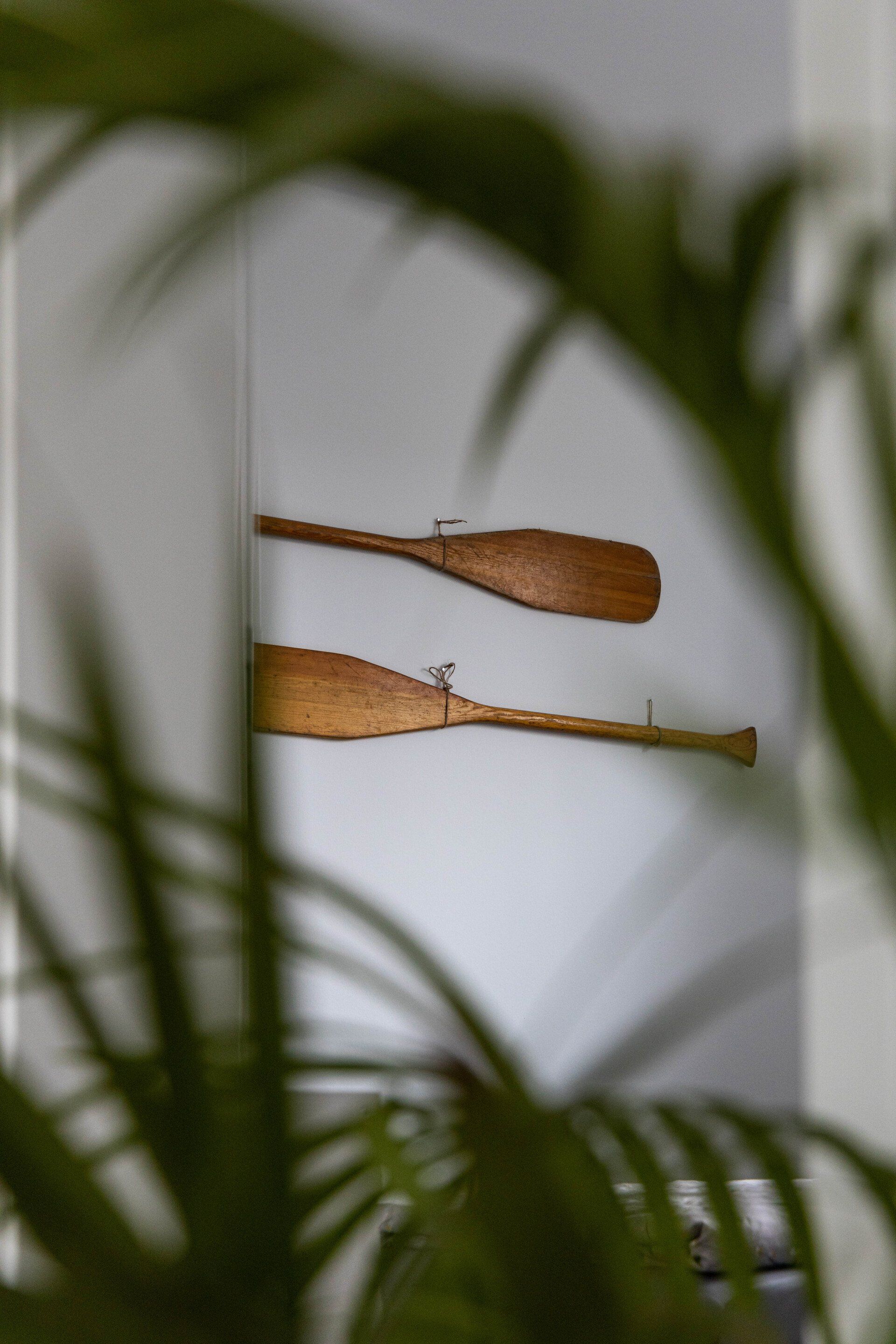 An einer Wand hinter einer Pflanze hängen zwei Holzruder.